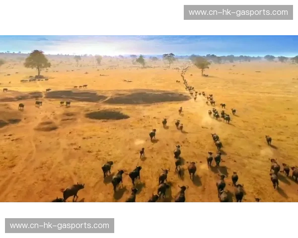 毕尔巴鄂与拉斯帕：一场跨越山海的寻味之旅